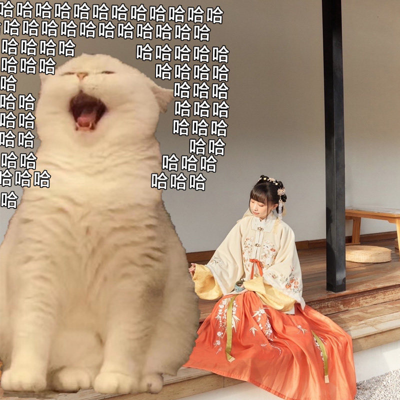 十三余儿[柿柿如意]交领短袄小豆蔻 十三余汉服