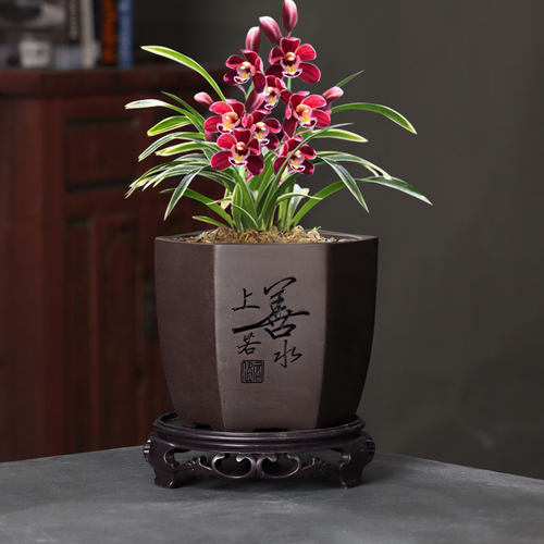 紫砂素盆雕刻大花盆多肉圆形六方阳台盆栽盆景肉肉菖蒲绿植带底座 - 图0