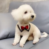 Шарф, слюнявчик, галстук-бабочка, аксессуар