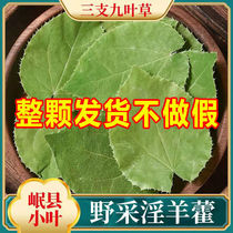 Gansu Small Leaf Masturbin Chinese herbal medicine Herbal Tea Wine Bubble water Drink with fairy Spleen Wild-in-the-Sheep Hoobi Turbi