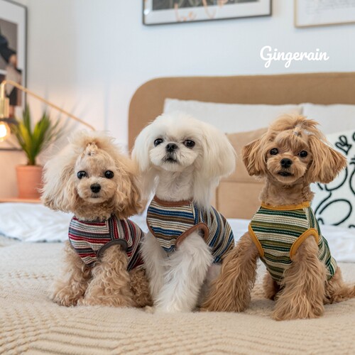 GINGERAIN 小型犬衣服泰迪马尔济斯马尔泰纯棉华夫格条纹背心 - 图1