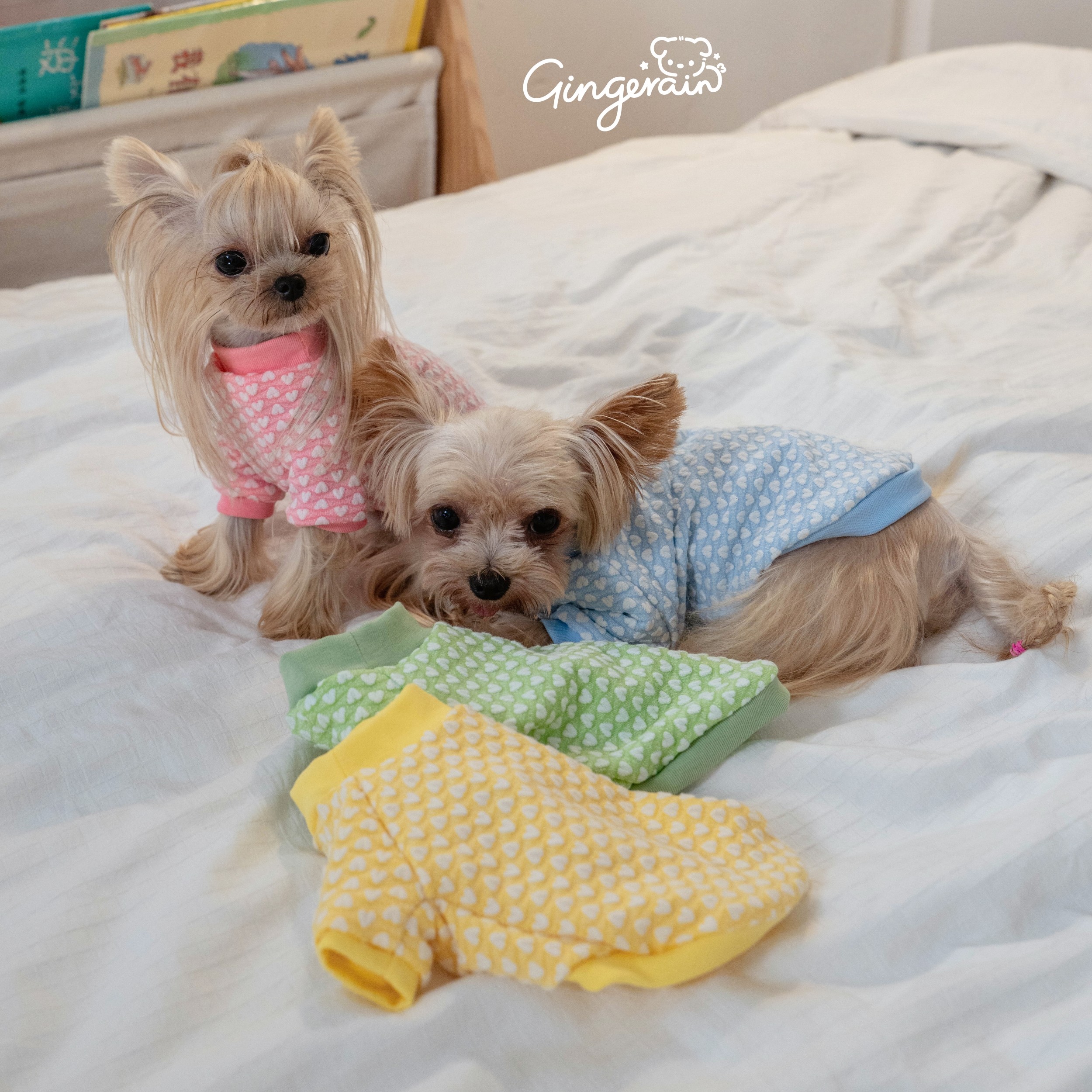 GINGERAIN 早秋打底衫马尔济斯约克夏泰迪T恤心心彩色空调服卫衣,淘宝优惠券,粉丝福利购,淘宝优惠卷