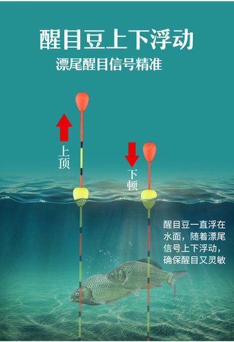 浮珠对撞漂加粗醒目碰珠浮漂高灵敏野钓鲫鱼浮漂套装全枣核型鱼漂 - 图0