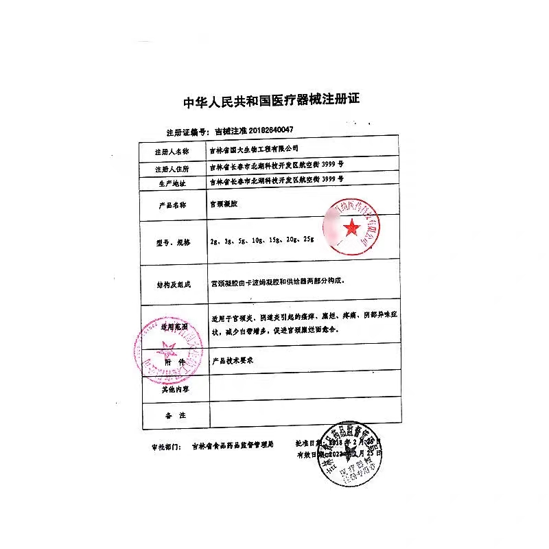 国大生物妇炎宁宫颈凝胶3g*4支