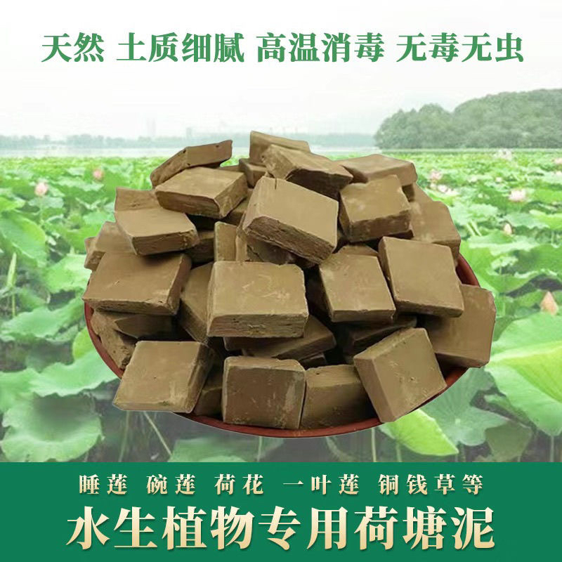 荷塘泥碗莲睡莲天然纯正塘泥荷花专用肥水盆栽水土培通用营养土 - 图0