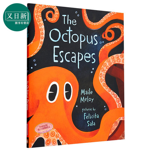 安徒生最佳插画家得主 Felicita Sala新书：八爪鱼大逃亡 The Octopus Escapes 名家绘本 精装 3~6岁 英文原版 - 图0
