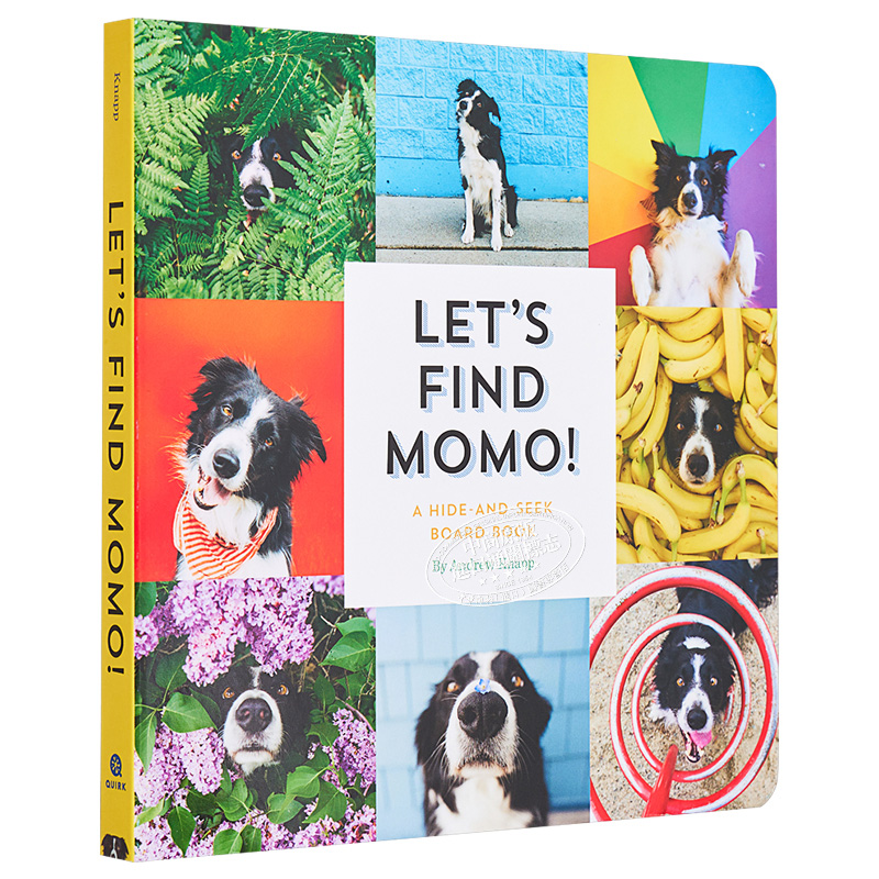 预售 Lets Find Momo寻找莫莫1让我们找到Momo英文原版纸板书 A Hide-And-Seek Board Book狗狗找找书捉迷藏的书又日新-图3