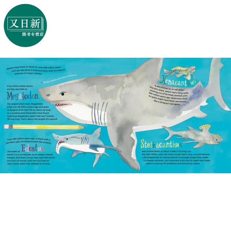 Hello, World! Kids' Guides: Exploring Sharks兰登：你好科学小世界：鲨鱼 英文原版 进口图书 科普知识绘本 又日新 - 图1