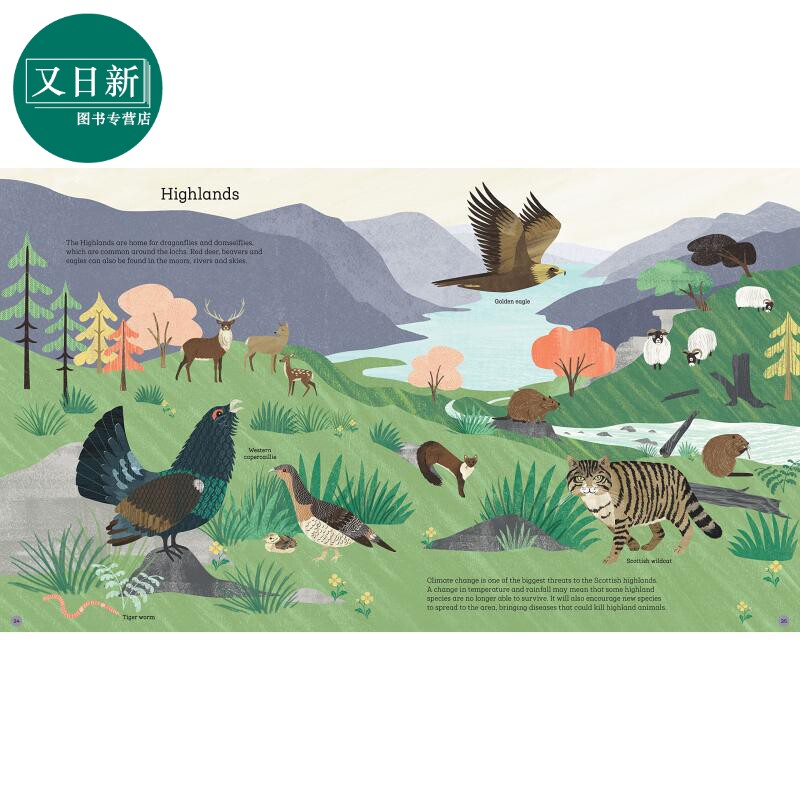 如何帮助刺猬和保护北极熊 How to Help a Hedgehog and Protect a Polar Bear 英文原版 儿童绘本 动物图画书 又日新