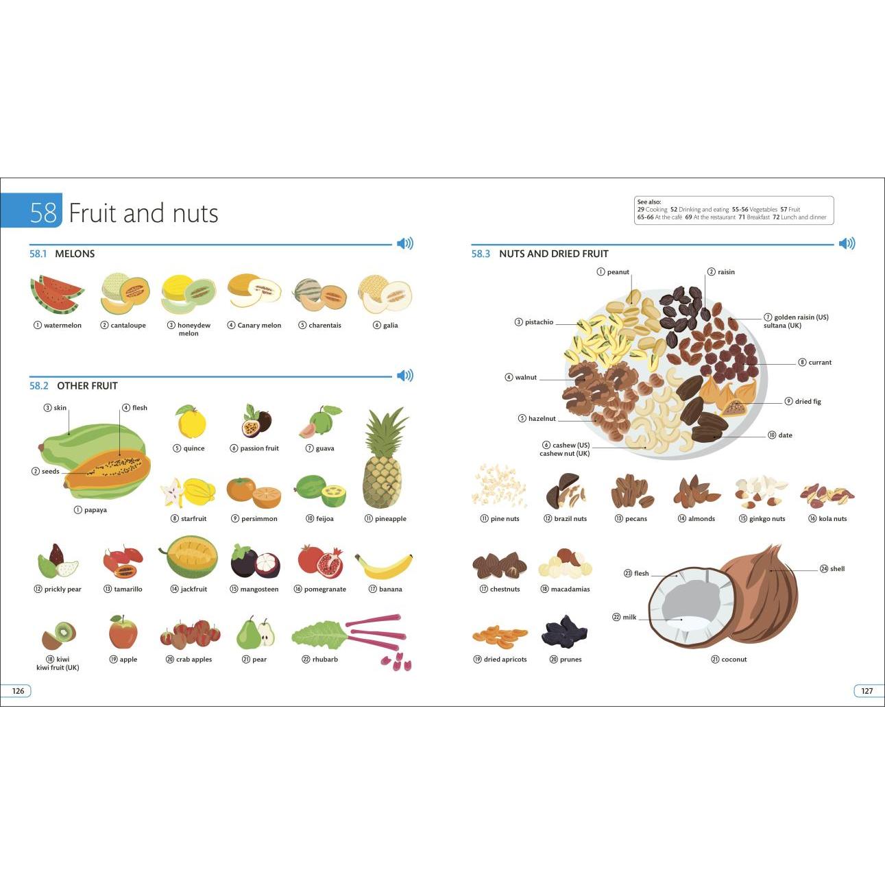 DK语法书 双语图解词典系列Bilingual Visual Dictionary 人人学小语种青少版French for Everyone Junior 综合训练单词参考又日新 - 图3