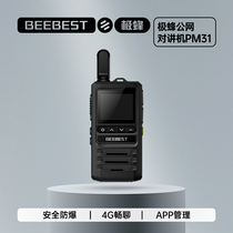 The extreme bee public network intercom PM31