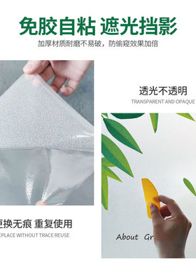 透光不透明横向窗户玻璃贴膜腰线
