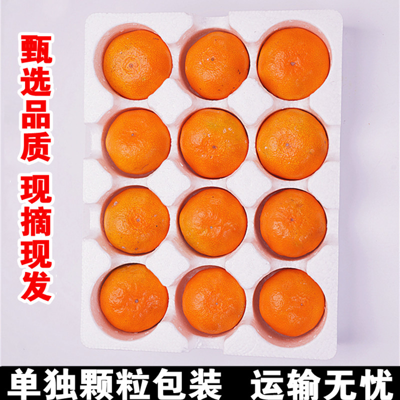 正宗临海涌泉蜜桔应季新鲜水果橘子10斤整箱黄岩蜜桔现摘旗舰店,淘宝优惠券,粉丝福利购,淘宝优惠卷