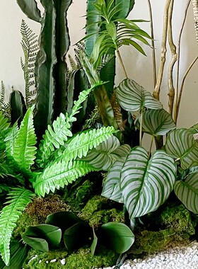 仿真绿植软装假植物造景假千年木