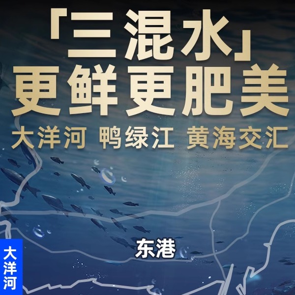 无沙生开杂色蛤肉丹东特产原汁蚬子肉花甲蛤蜊肉鲜活冷冻商用批发 - 图1