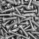304 round head flat tail self-tapping nail Wangu