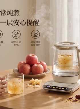 铂年炖煮一体保温纯钛养生壶