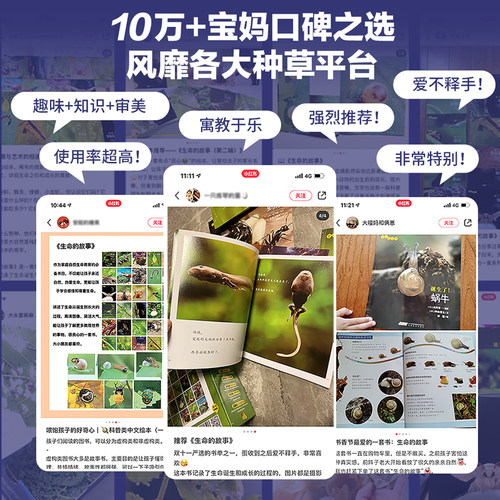 【无穷小亮推荐】生命的故事10册44册科普绘本礼盒3-10岁诞生了系列昆虫动物百科全书少儿童课外阅读自然启蒙幼儿园小学生图书 - 图3