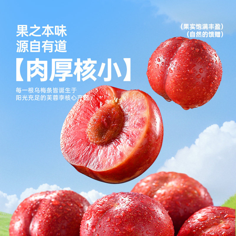 薛记炒货 乌梅条120g/袋乌梅芙蓉李果脯追剧即食解馋零食,淘宝优惠券,粉丝福利购,淘宝优惠卷