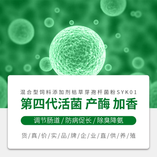 Shenhui Beasts используют живую бактериальную и ферментную свинину, свинину, овцы, фазан для регулирования желудочно -кишечных желудочно -кишечных примеси с придельи.