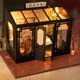 DIY hut Chinese handmade house wooden
