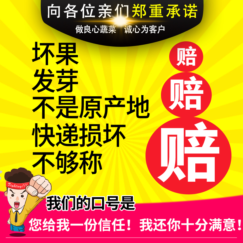 云南高山土豆农家现挖红皮黄心小土豆新鲜10斤批发马铃薯洋芋蔬菜 - 图2