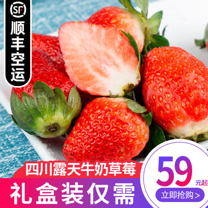 四川大凉山牛奶草莓精选新鲜当季水果大草莓礼盒装现摘顺丰包邮