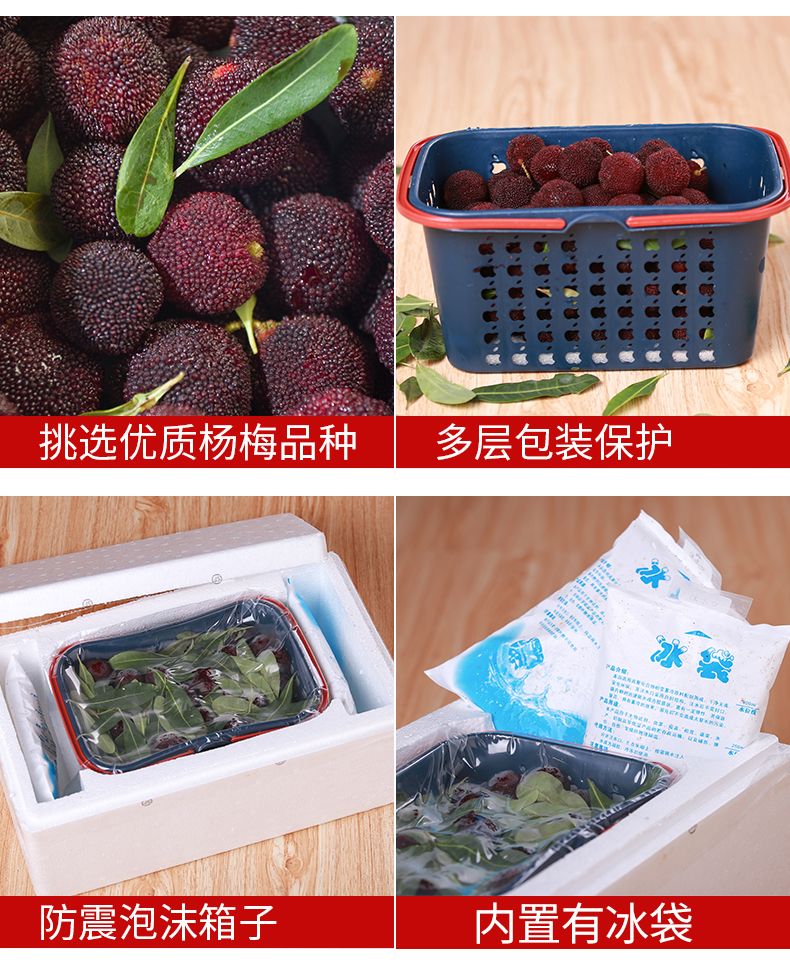 文大爷旗舰店【顺丰包邮】浮宫新鲜杨梅6斤装福建现摘应季批发现货时令水果2