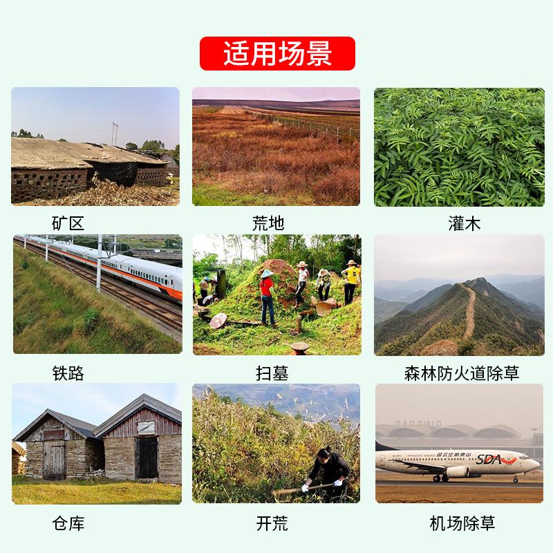 75%甲嘧磺隆除草烂根剂除草剂铁路公路专用灭草剂甲嘧磺蕯除草-图2