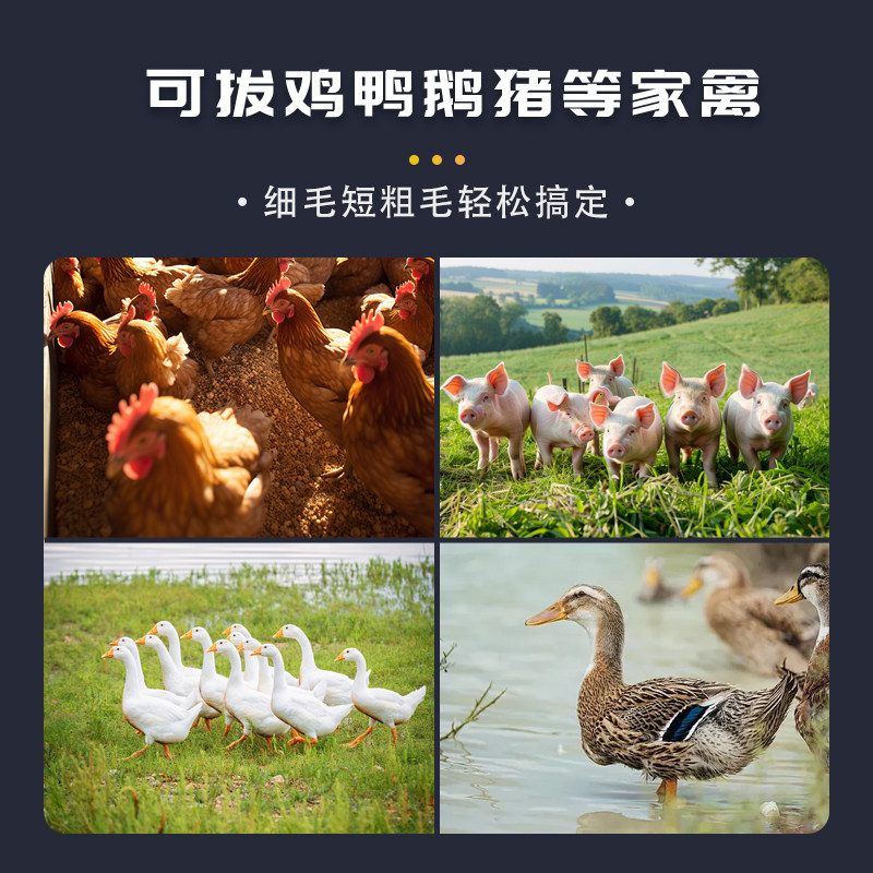 家禽电动拔毛神器鸡毛鸭毛鹅毛手持猪肉脱毛机防水夹子家用商用,淘宝优惠券,粉丝福利购,淘宝优惠卷