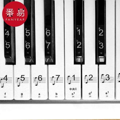 5Y钢琴键盘贴纸AB1sq801-电子琴贴88键61键54键透明音符音标贴 - 图2
