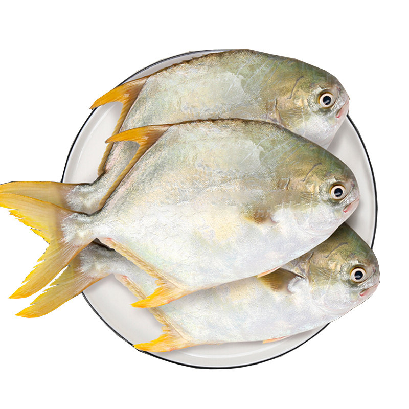 新鲜金鲳鱼特大冷冻海鱼深海鲳鱼金昌鱼平鱼冷冻海鲜水产批发商用,淘宝优惠券,粉丝福利购,淘宝优惠卷
