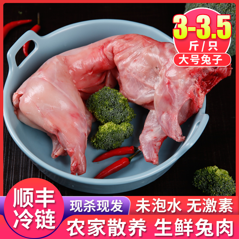 Extra large rabbit meat, freshly killed and authentic rabbit