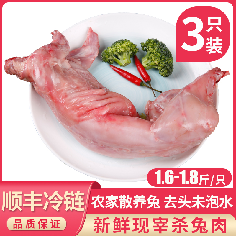Fresh rabbit meat, freshly slaughtered and gutted whole