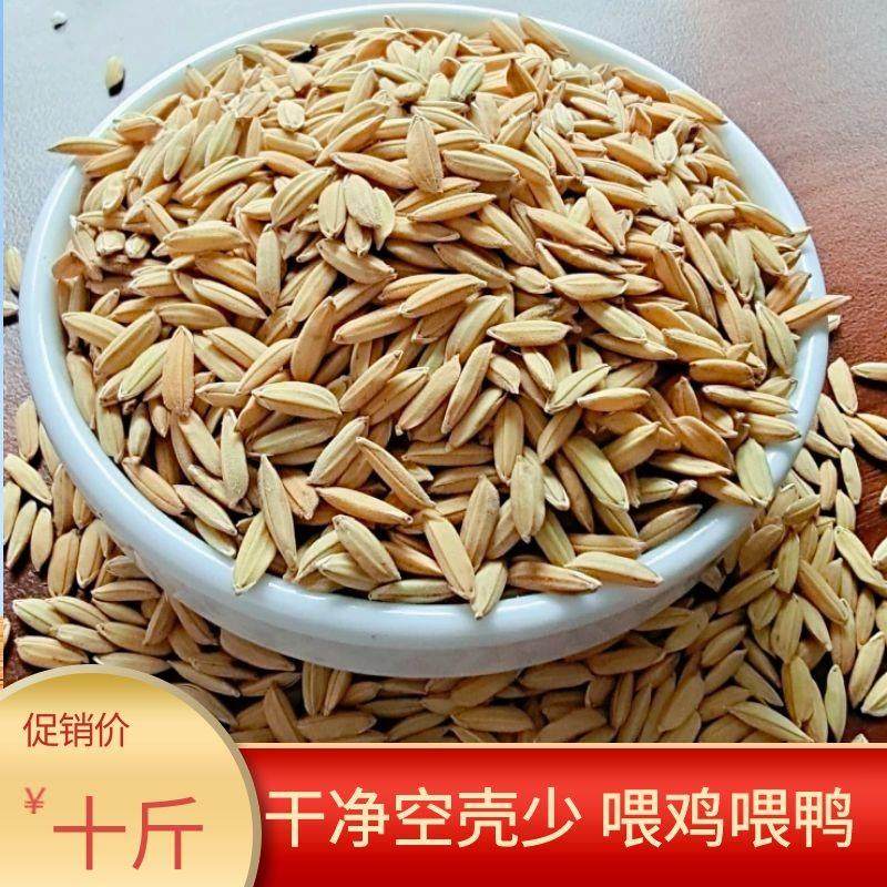 10斤装水稻谷子带壳喂鸡鸭鹅鸽子宠物饲料五谷杂粮20/50/100斤,淘宝优惠券,粉丝福利购,淘宝优惠卷