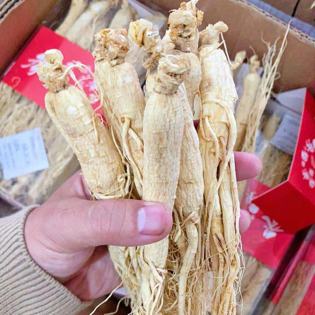 御品泰旗舰店【药房直供】生晒参500g东北人参长白山人参干人参泡酒野白参整支1