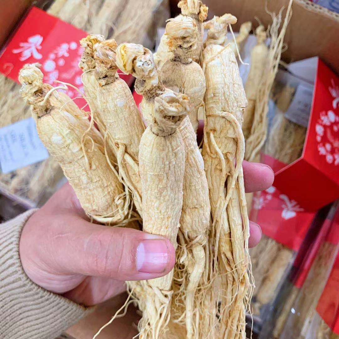 御品泰旗舰店【药房直供】生晒参500g东北人参长白山人参干人参泡酒野白参整支0