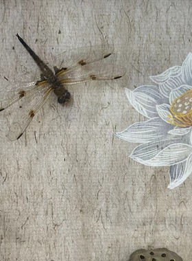 【清心】三八女神节员工妈妈伴手礼蜻蜓标本禅意相框摆件干莲蓬