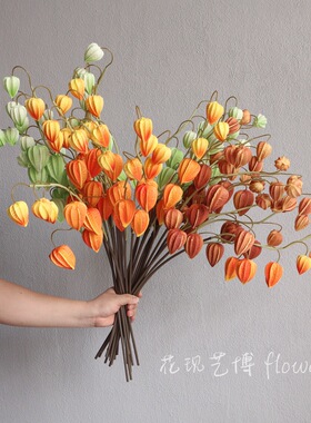 pu6头单支灯笼果仿真花姑