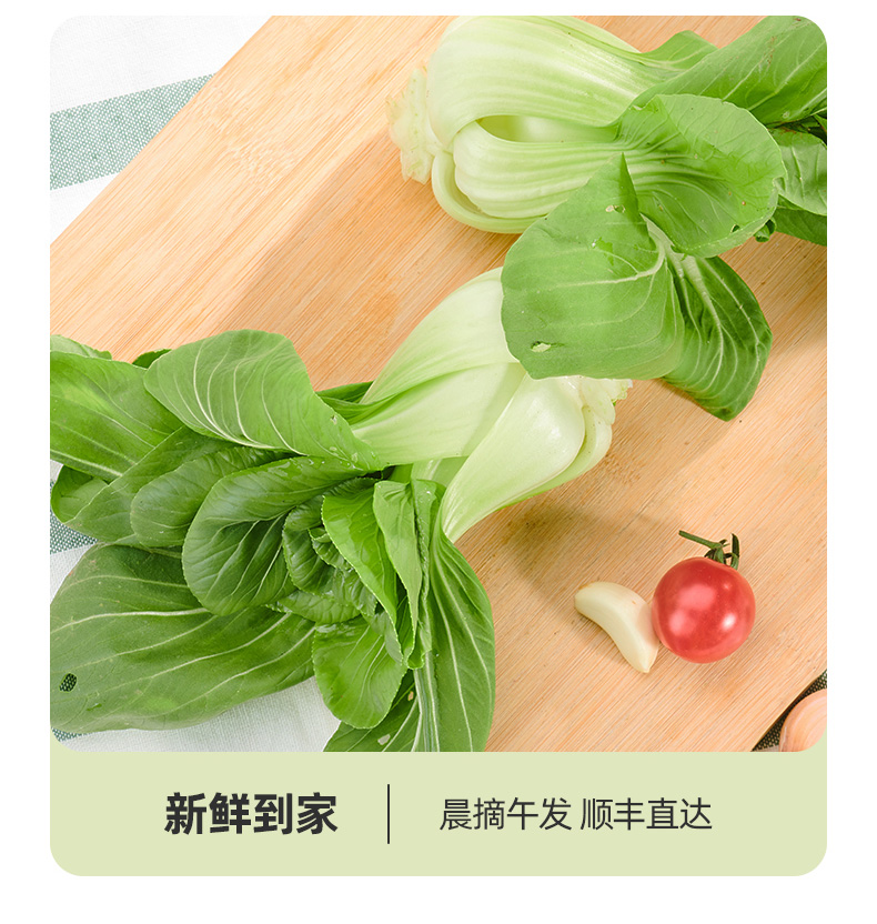 绿源禾心有机油菜上海青鸡毛菜新鲜蔬菜-图2