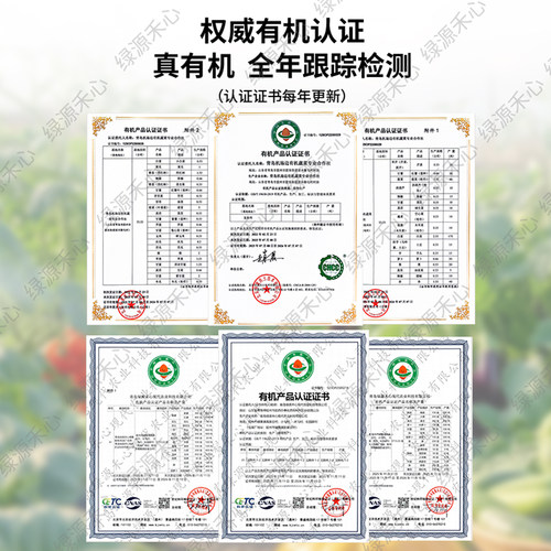 有机甜菜根新鲜现挖红甜菜头紫菜头榨汁生吃沙拉天然农家健康蔬菜 - 图2