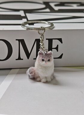 韩系ins可爱植绒布偶猫咪小众挂绳钥匙扣卡通包包挂件链条礼物