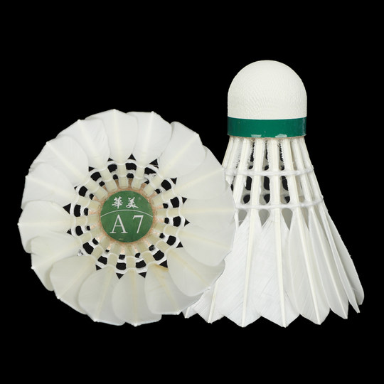Gorgeous and cost-effective badminton!!!