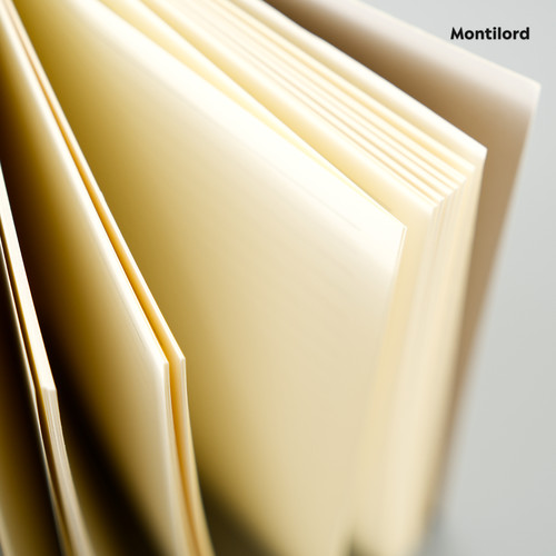 『Montilord』中厚线圈本A5B5横线爱美的兔兔厚纸PLUS护眼顺滑个性记事本高效简约笔记本好平摊美横格条纹ins - 图3
