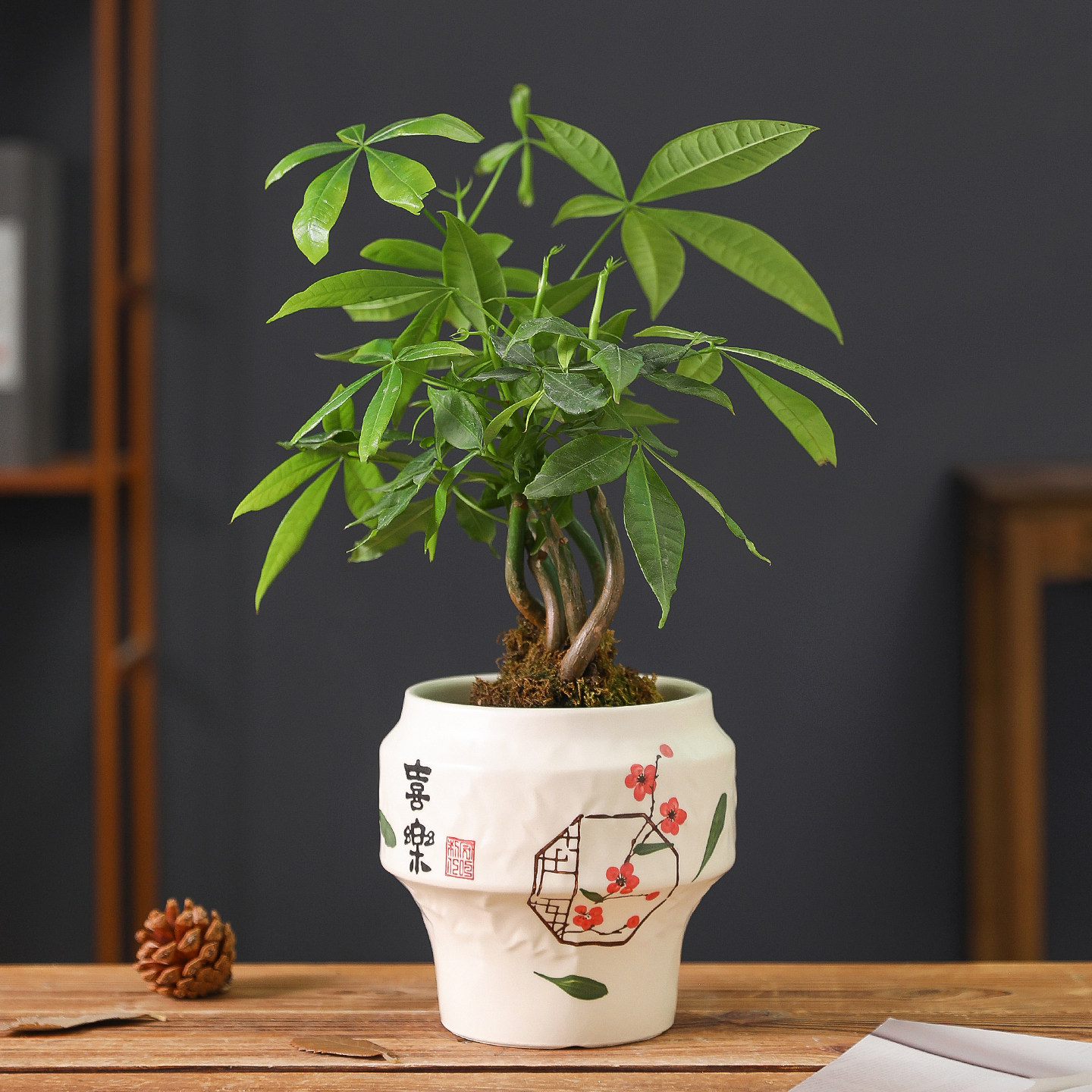 简约陶瓷花盆奶油风手绘暖居轻奢家用桌面蝴蝶兰专用花器绿植盆栽,淘宝优惠券,粉丝福利购,淘宝优惠卷