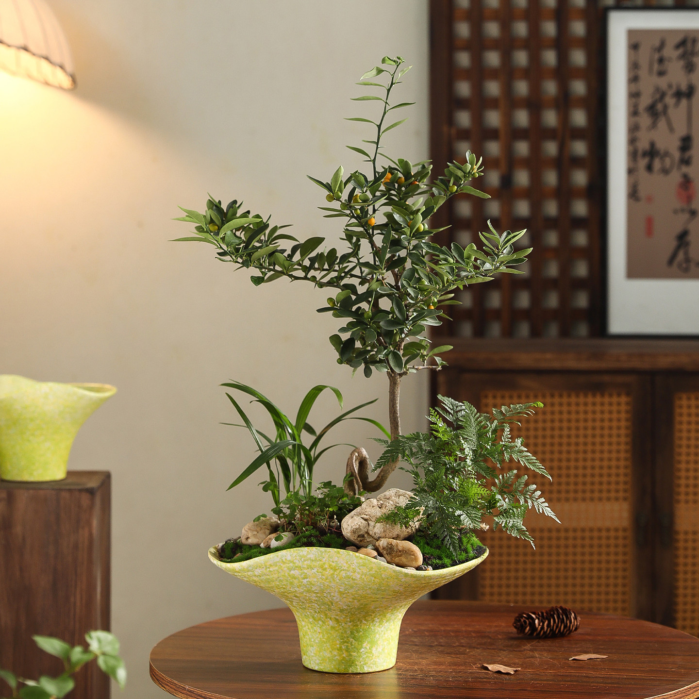 苔藓球专用盆栽陶瓷花盆禅意家用桌面轻奢高级感套盆创意绿植拼盘,淘宝优惠券,粉丝福利购,淘宝优惠卷