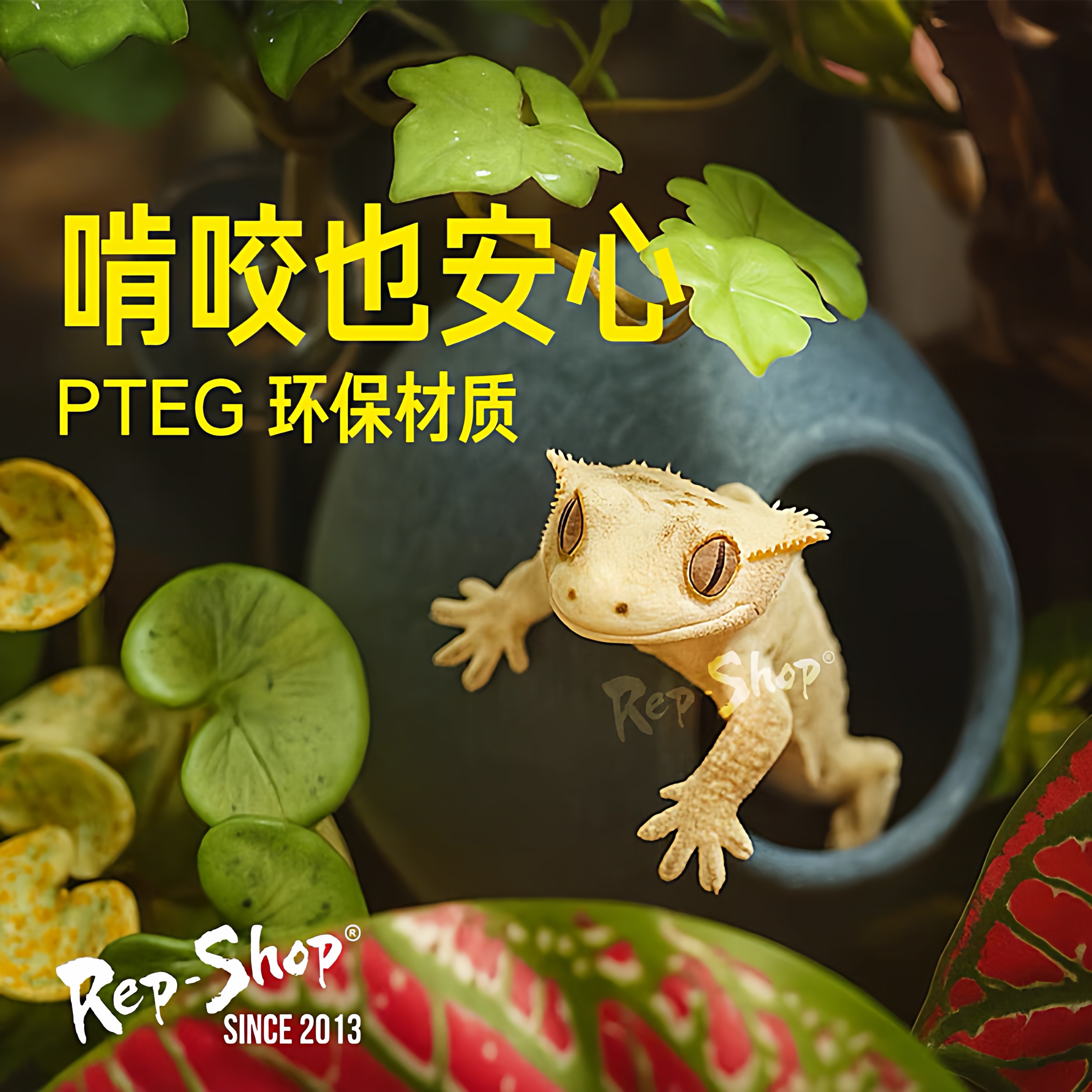 睫角守宫蛋仔躲避屋树栖窝树蛙盖勾亚洞穴攀爬悬挂窝助脱皮躲藏洞,淘宝优惠券,粉丝福利购,淘宝优惠卷