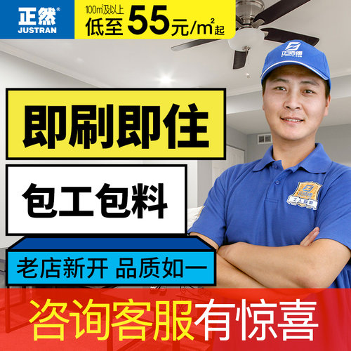 正然硅藻泥包工包料涂刷服务环保涂料旧房乳胶漆墙面翻新涂刷新 - 图0
