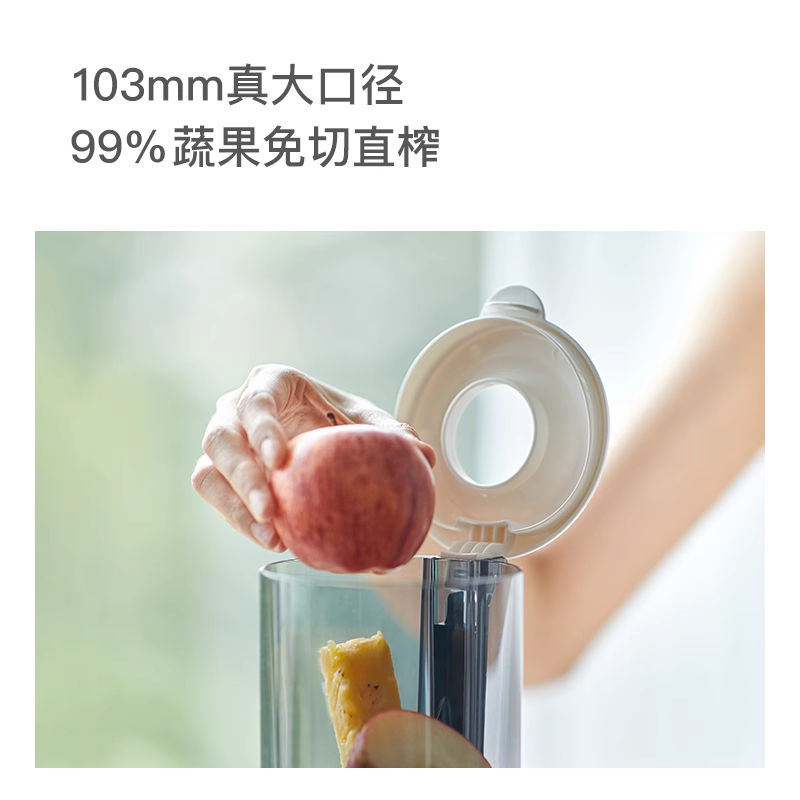  olayks观道榨汁机