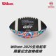 Wilson Zodiac Snake Year Limited Commemorative Rugby Football